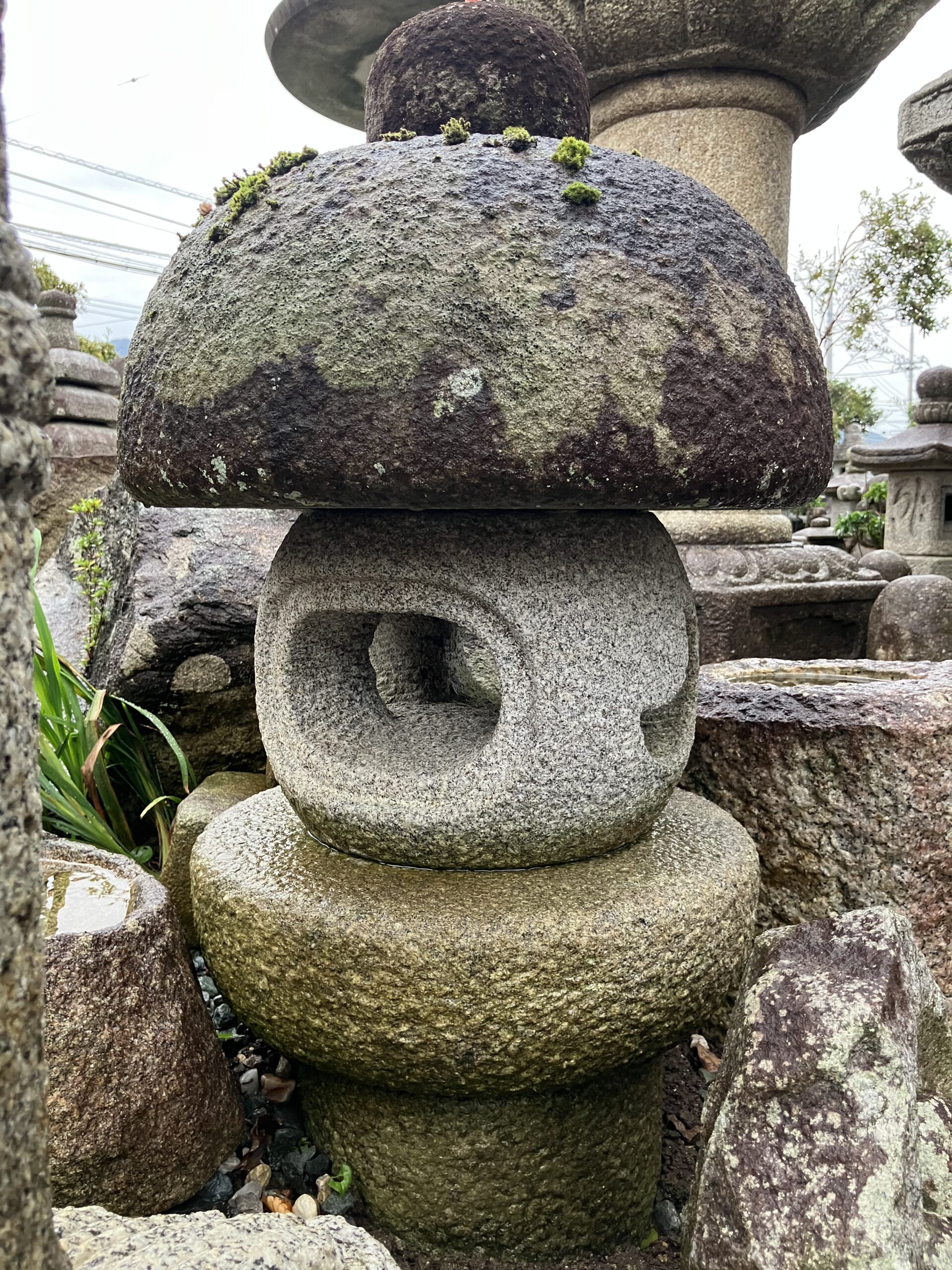 丸露地形生込灯籠