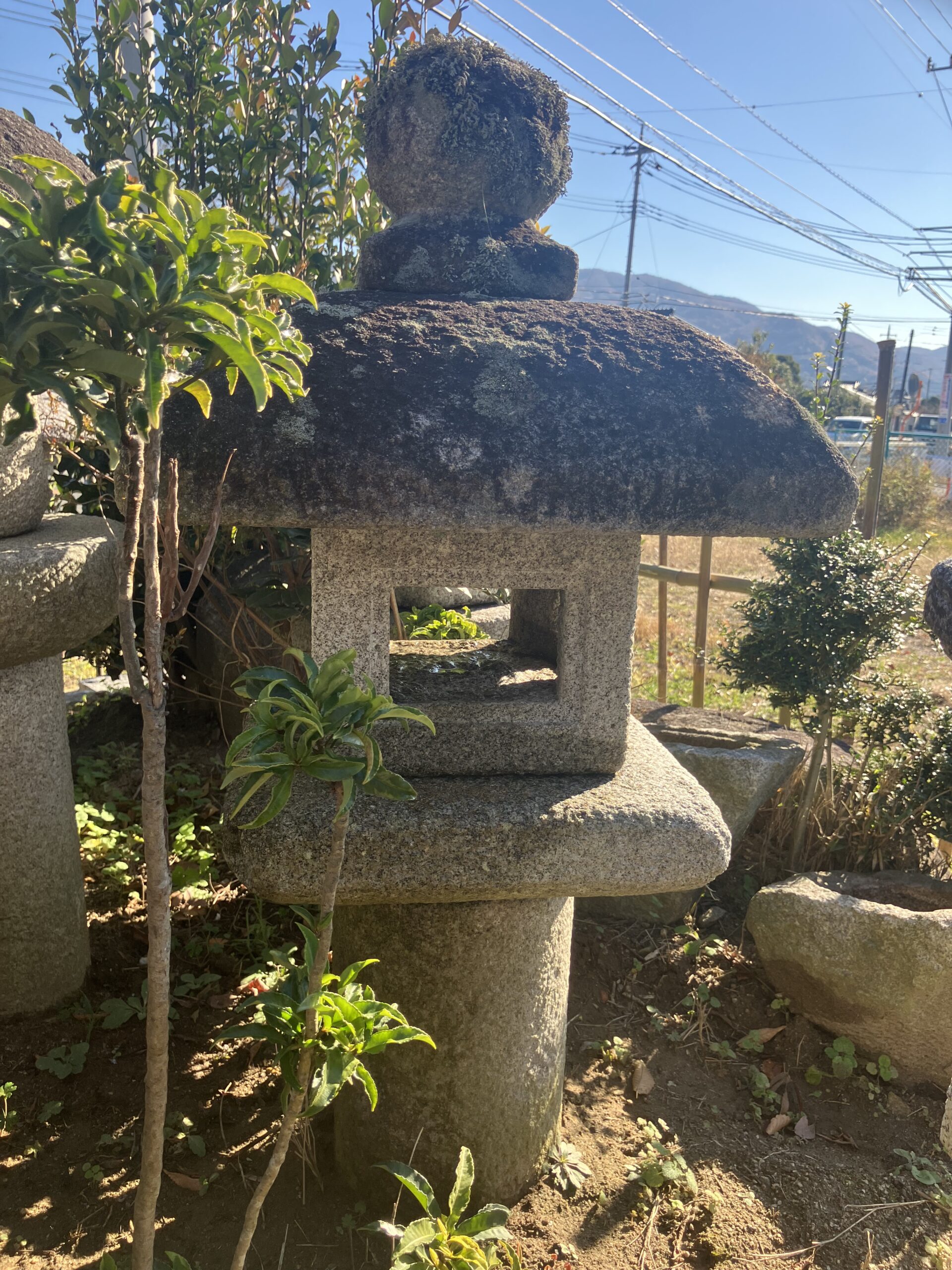 四角形生込灯籠