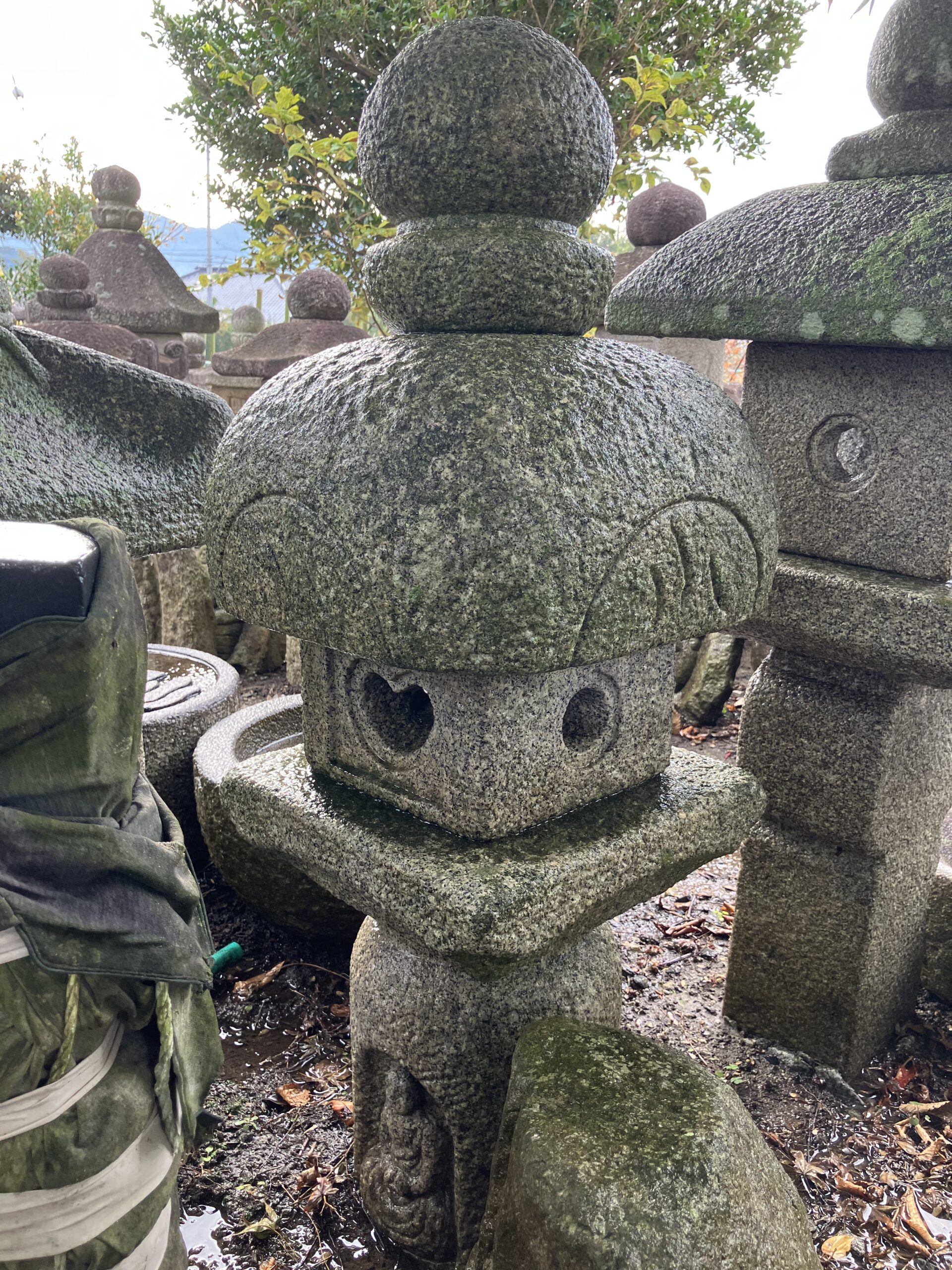 孤篷庵形生込灯籠